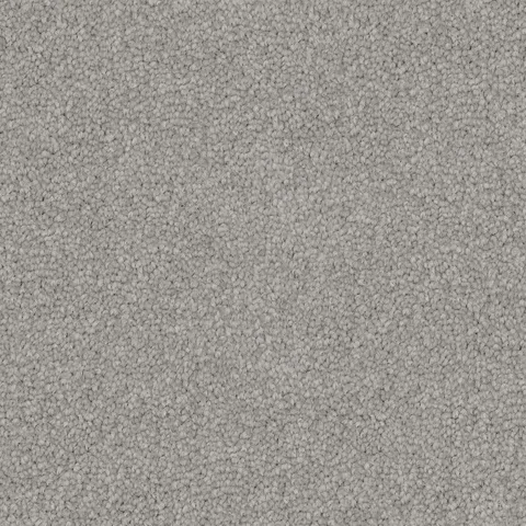 Ashville carpet swatch